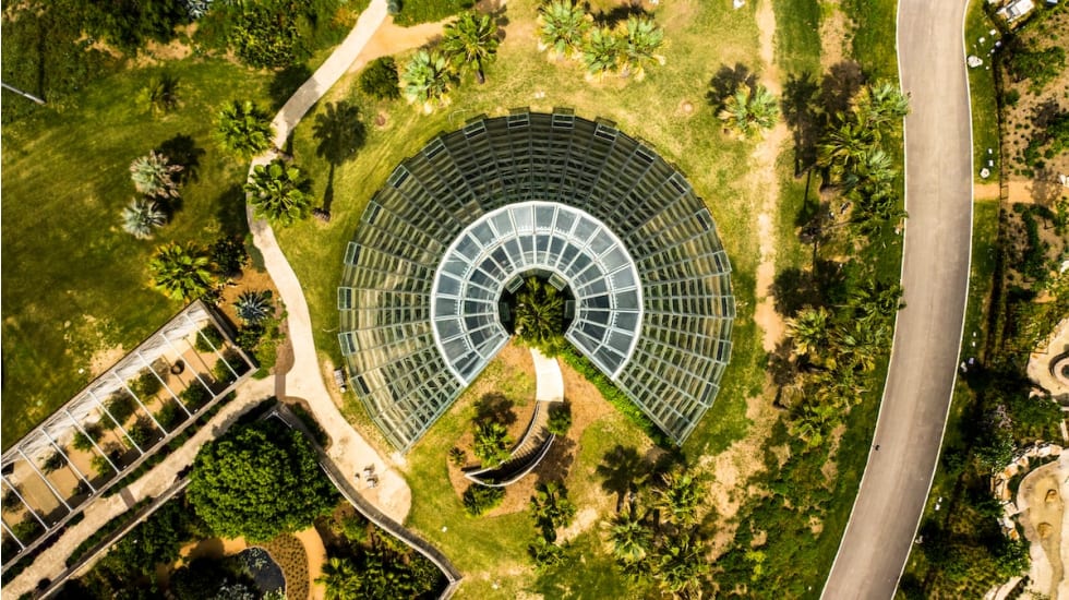 san-antonio-botanical-gardens
