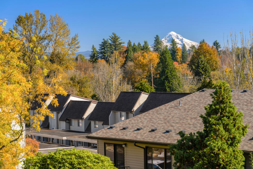  Autumn colors in a neighborhood Gresham Oregon.