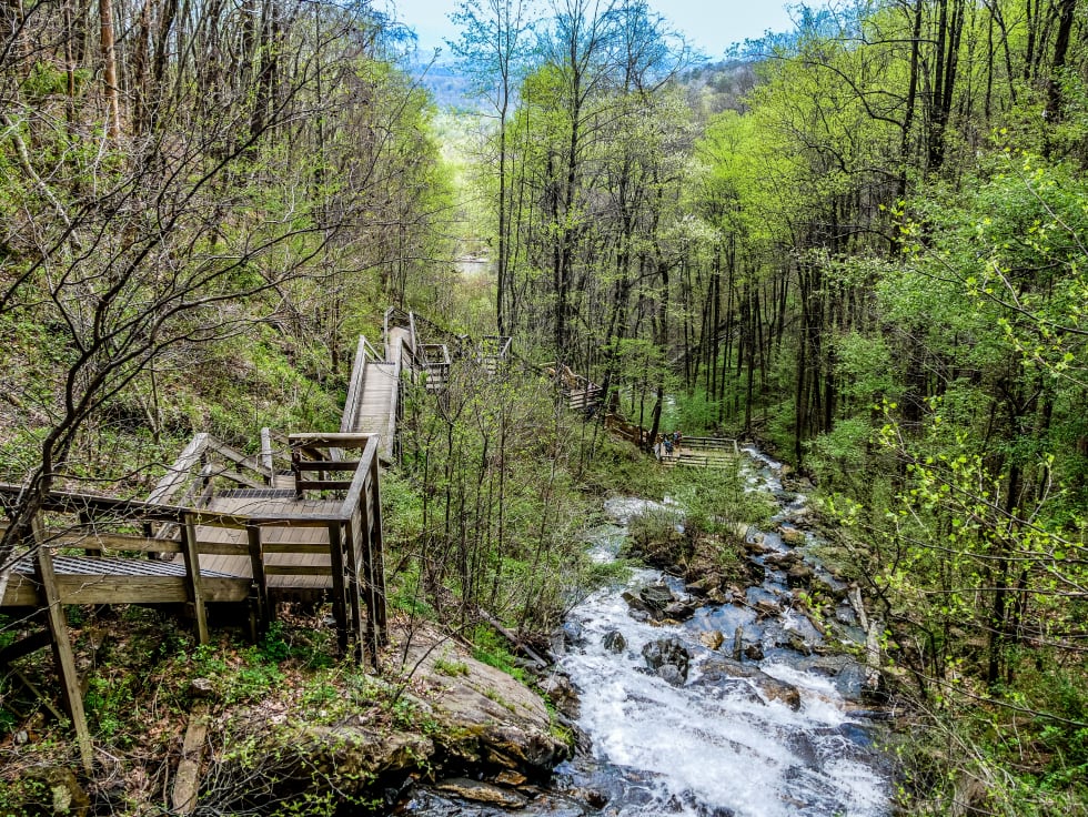 view-of-gainesville-ga.png