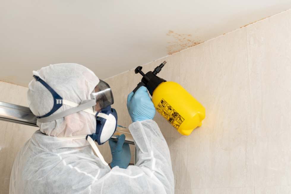 Professional spraying down humid apartment to eradicate mold