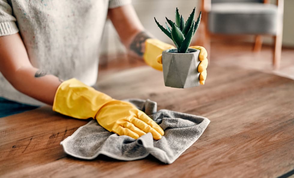 woman cleans house