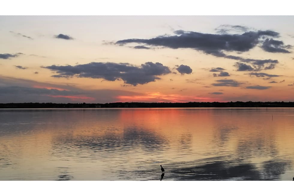 Oldsmar - cities near tampa