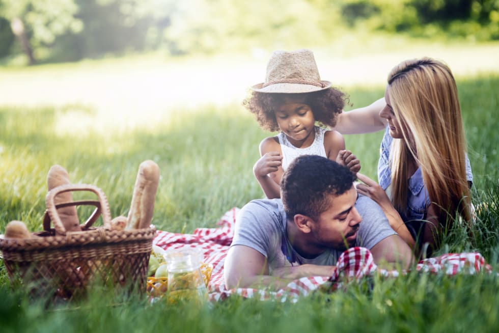 picnic