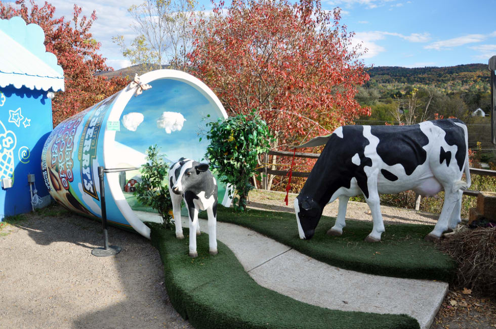 Ben & Jerry's Ice Cream Factory on October 10th, 2010 in Waterbury, Vermont, USA.