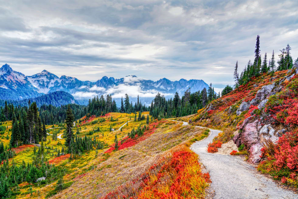 Mount Rainier National Park in the Fall