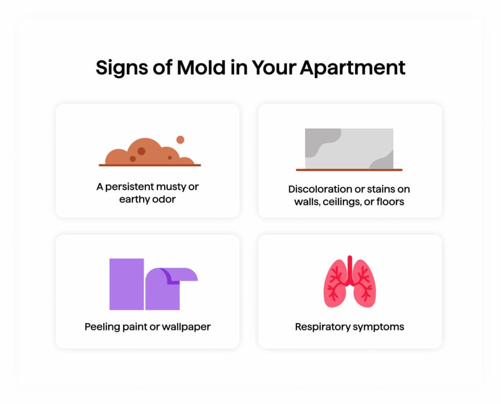 Signs of Mold in Your Apartment