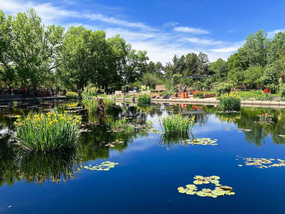 what-is-denver-known-for-botanic-gardens
