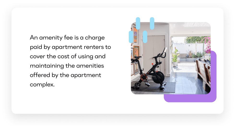 What is an Amenity Fee?