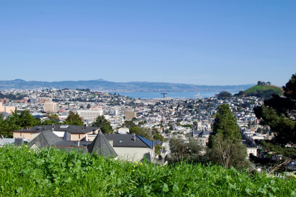  Looking out over San Francisco on a sunny day, taken on Billy Goat Hill. Bernal Heights Hill is visible in the background, Noe Valley is directly in the center, and Glen Park is to the right.