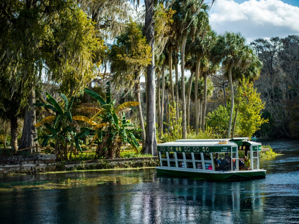 Ocala