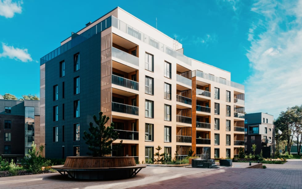 EU Pine tree at architectural complex of residential buildings. And outdoor facilities.