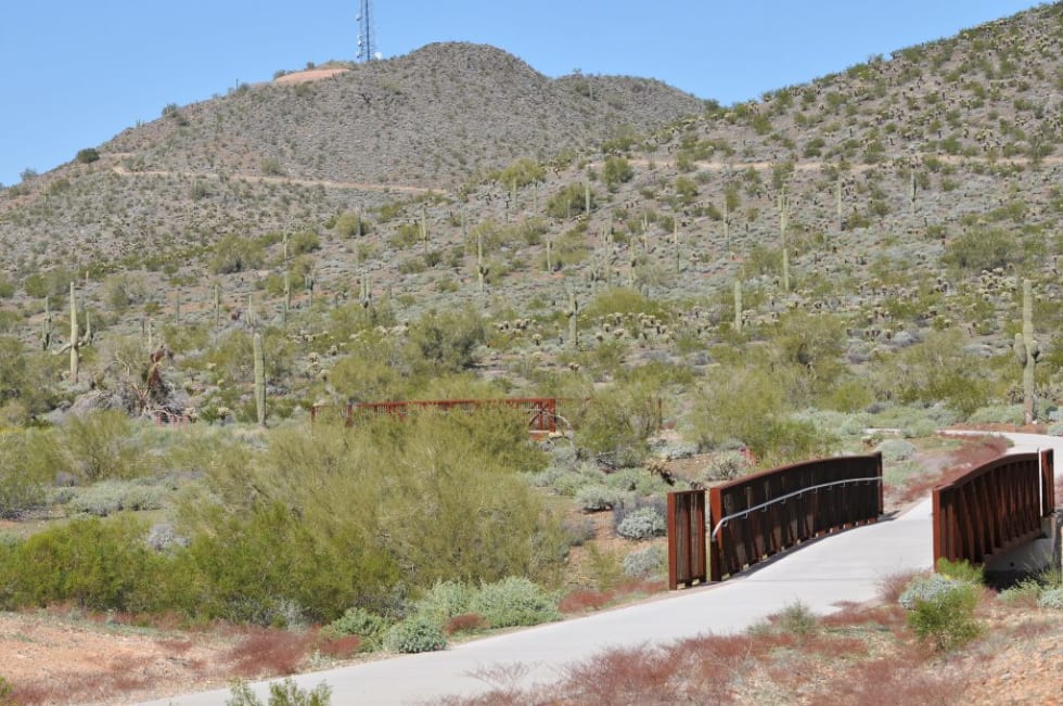 Sonoran Preserve in Desert View