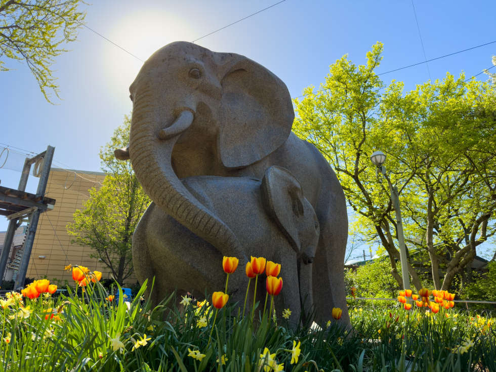 Philadelphia Zoo elephant statue - Apartment List