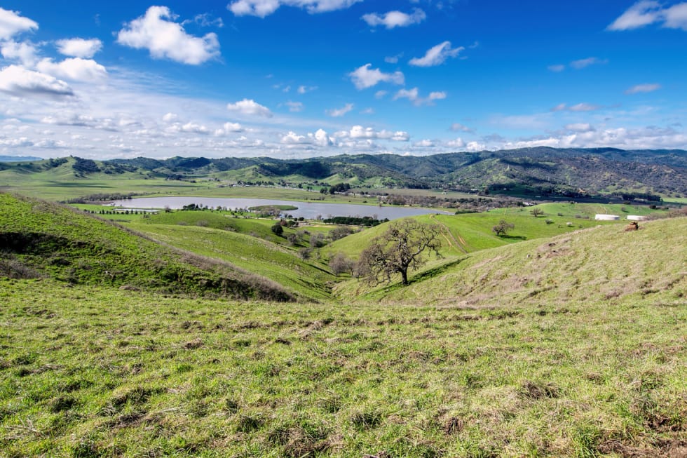 20 Cities Near Sacramento [2024]