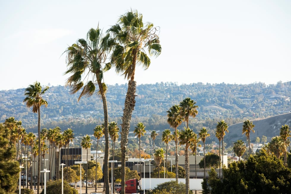 Torrance best cities near Los Angeles