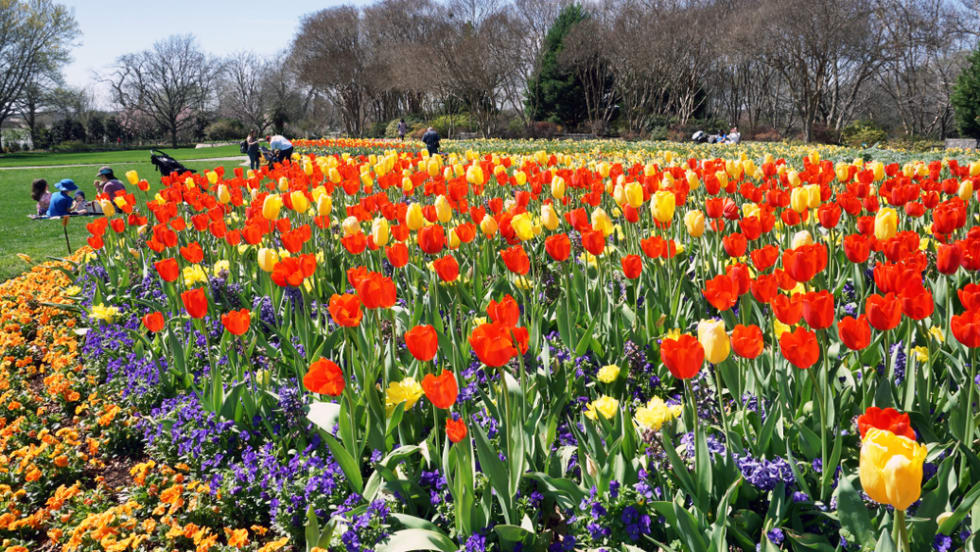 Dallas Arboretum and Botanical Garden