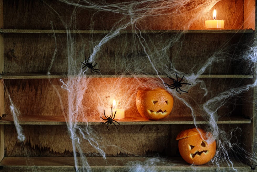 spider webs