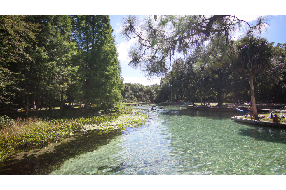 Apopka