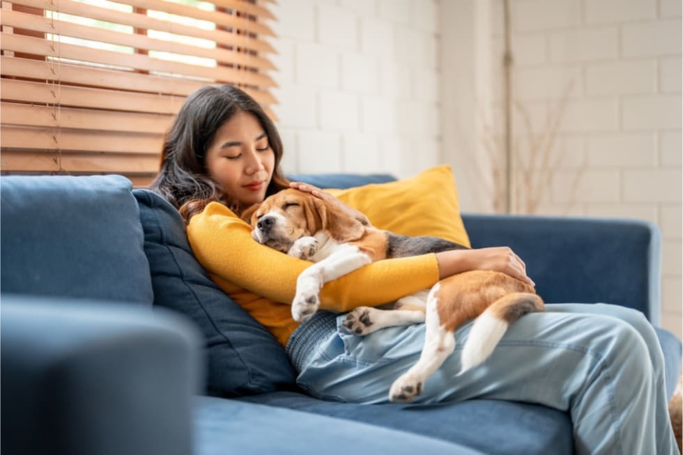 apartments-emotional-support-animals-1