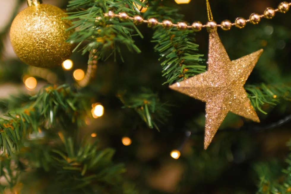 blur-branch-celebration-christmas-281618-1024x683