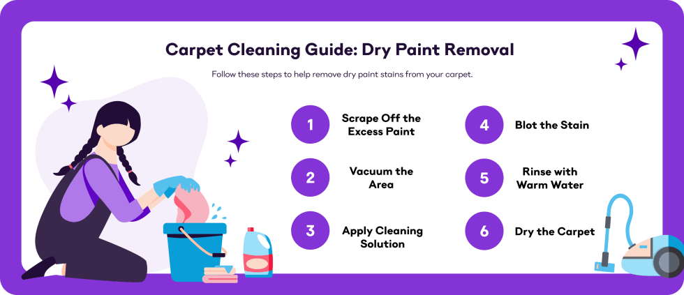 Carpet Cleaning Guide Dry Paint Removal
