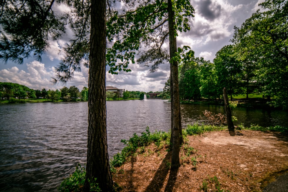 Innsbrook lake at cox road Henrico Va