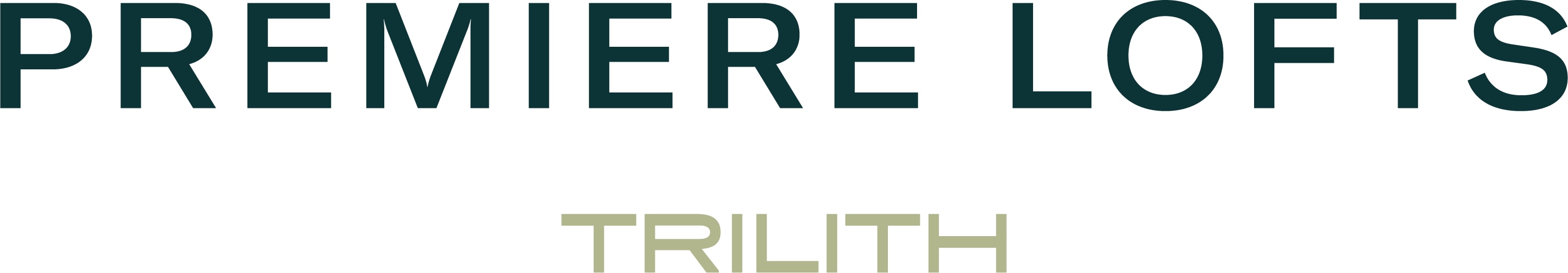 Premiere Lofts at Trilith – Luxury Apartments – 00214