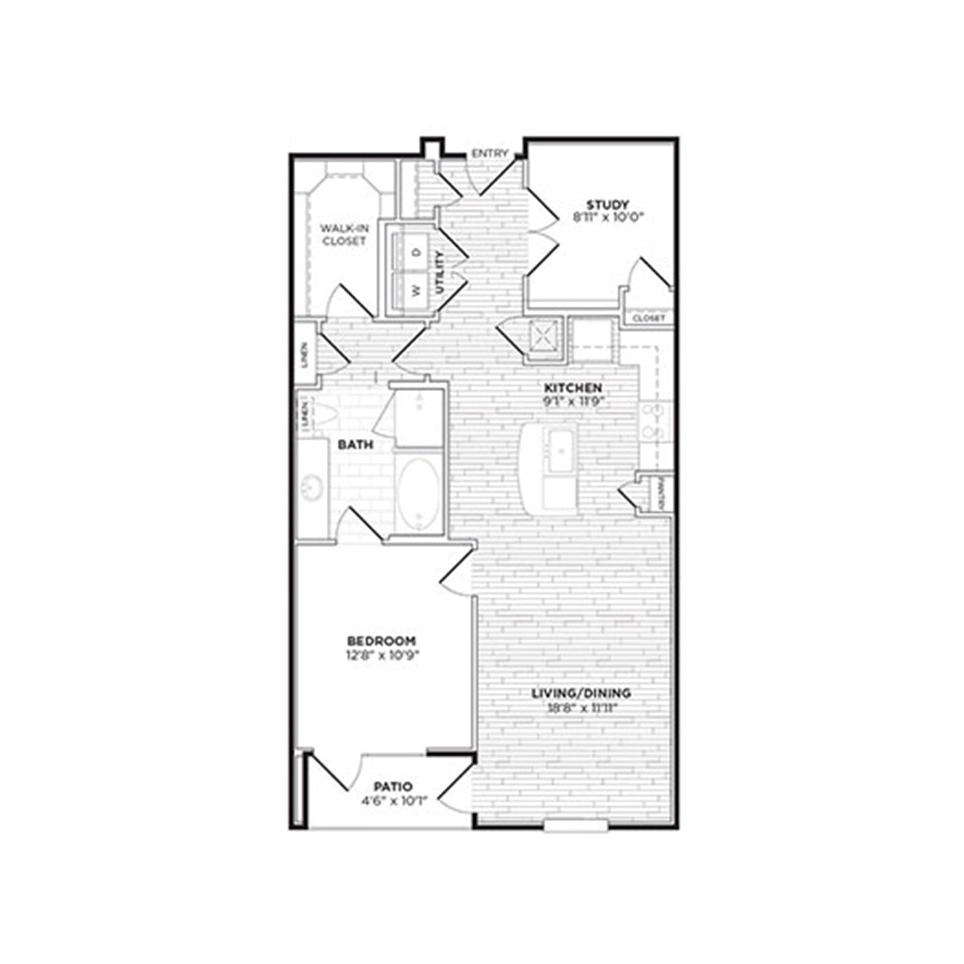 Agave – 6304