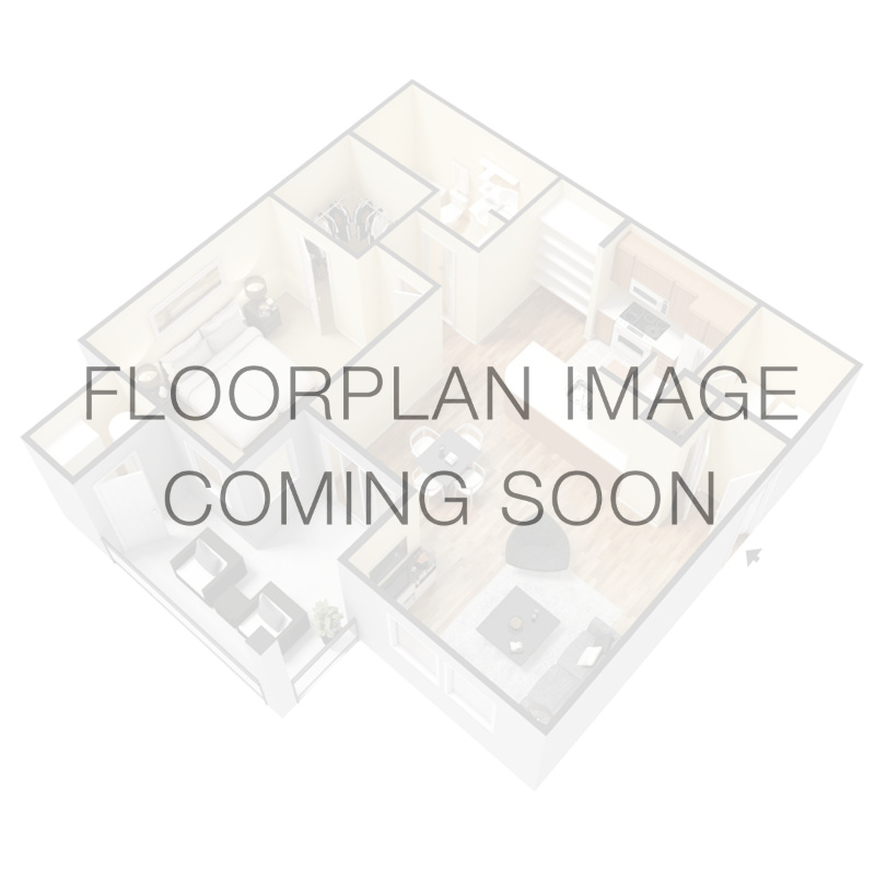 Tiburon – H101