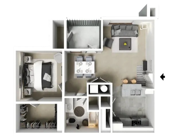 Live Oak – 24671