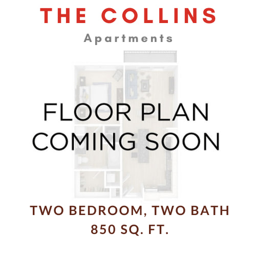 The Collins – 22