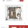 Floor plan: Studio - 242 sqft