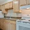 Floor plan: 1 Bed and 1 Bath