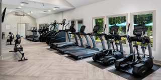 The Falls and Woods of Hoover Gallery 18