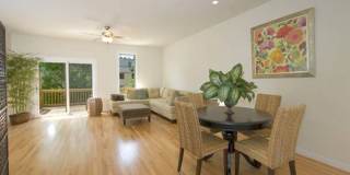 1013 Linden Avenue- X Gallery 5
