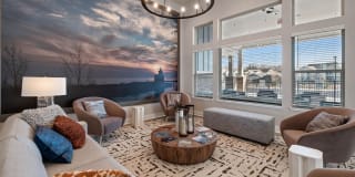 Springs at the Reserve Gallery 56