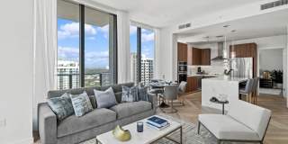 Veneto Las Olas Gallery 5