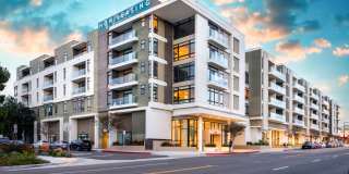 Vestalia Vestalia Gallery 1