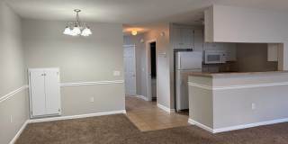 Available NOW - 160 N. Springview Drive Gallery 4