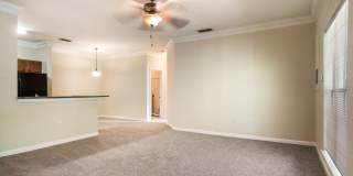 Angel Landing Gallery 7