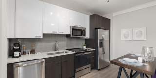 Cadence Music Factory Gallery 28