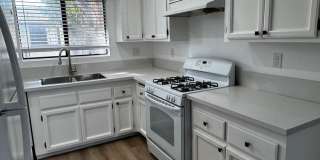 Maple Apartments Gallery 4