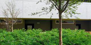Mosaic Gallery 12
