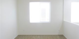 8513 ORLY Avenue Gallery 13