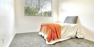 2365 Fallingtree Drive Gallery 15