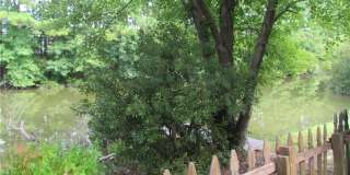 350 San Roman Drive Gallery 29