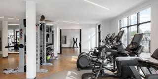 Alta Davis Gallery 25