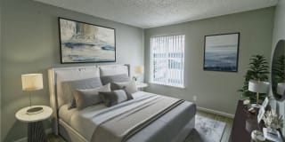 The Element The Element Gallery 12