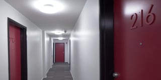 Ricardo Ricardo Gallery 7