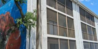 Nice condo with building Elevator, large patio Heard of Carrollwood Gallery 1